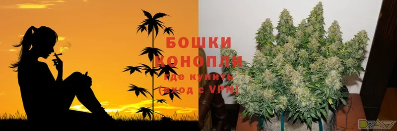 купить наркотики цена  Сунжа  Бошки Шишки OG Kush 